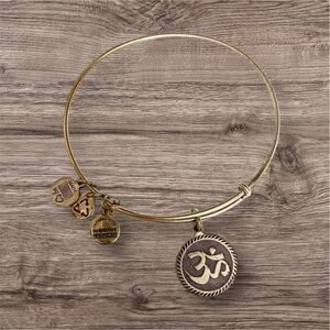 Alex and ani bracelet